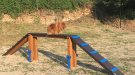 Ripoll ja disposa del segon espai d'esbarjo caní 