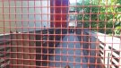 Una bretolada deixa inoperatiu l'ascensor superior del barri de Sant Pere de Ripoll 