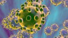La comarca, aturada pel coronavirus