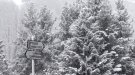 Jornada de nevades al Ripollès