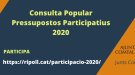 Els diners dels pressupostos participatius de Ripoll han d'anar destinats a lluitar contra la COVID-19?