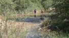 Els municipis de la riera de Merlès decideixen prohibir el bany per evitar la propagació del coronavirus 