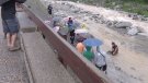 Una activitat permet trobar l'or que hi ha al riu Ter