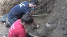 Es reprenen els treballs arqueològics a Sota Palou
