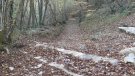 La caminada per la Via Romana de Sant Pau s'aplaça fins l'any vinent