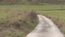 Les Llosses treballa per aconseguir una subvenció per arranjar camins