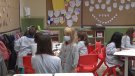 Cap grup escolar confinat al Ripollès