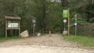 Habiliten un nou aparcament a l'accés al Torrent de la Cabana
