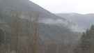 Es prenen precaucions al Ripollès per evitar el risc d'incendi
