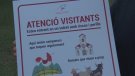 'Atenció visitants' pretén conscienciar sobre el respecte de la vida ramadera