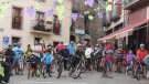 Brams i l'Orquestra Selvatana donaran un toc diferent a la Festa del Roser