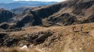 La Pyrenees Stage Run manté el seu caràcter internacional en l'edició 2021