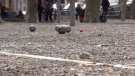 El Campionat de Catalunya de Petanca es decidirà aquest diumenge