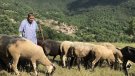 Creu de Sant Jordi per a la pastora de Bruguera Marina Vilalta
