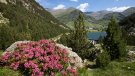 Aquest estiu gaudeix de les estacions de muntanya de Vall de Núria  i Vallter 