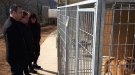 El benestar i qualitat de vida dels gossos del Refugi d'Animals del Ripollès augmenta 