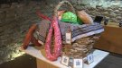 Alumnes de l'escola Vedruna reivindiquen el comerç local