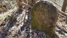 Incertesa a Planoles per la inscripció RCT 