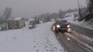 La previsió de neu aquest hivern al Ripollès no és bona