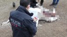 Investiguen un delicte de maltractament de cavalls en una hípica al Ripollès 