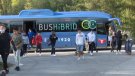 Oberta la convocatòria d’ajuts del Consell Comarcal pel transport i menjador escolar