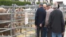 La Fira de Sant Isidre recupera el dinar popular, batejat amb el nom de 