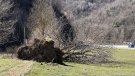 Nova alerta per ventades al Ripollès i a cinc comarques més